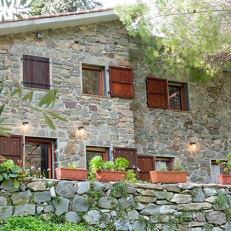 Due Pini Apartament Corniglia Zewnętrze zdjęcie