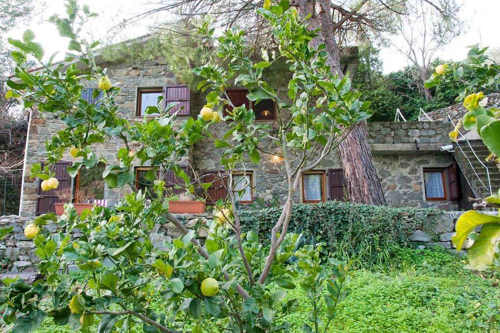Due Pini Apartament Corniglia Zewnętrze zdjęcie