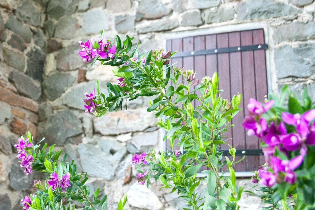 Due Pini Apartament Corniglia Zewnętrze zdjęcie
