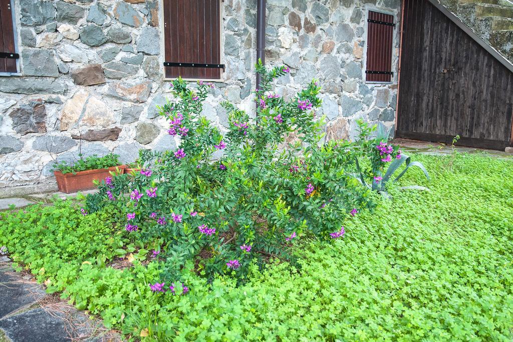 Due Pini Apartament Corniglia Zewnętrze zdjęcie