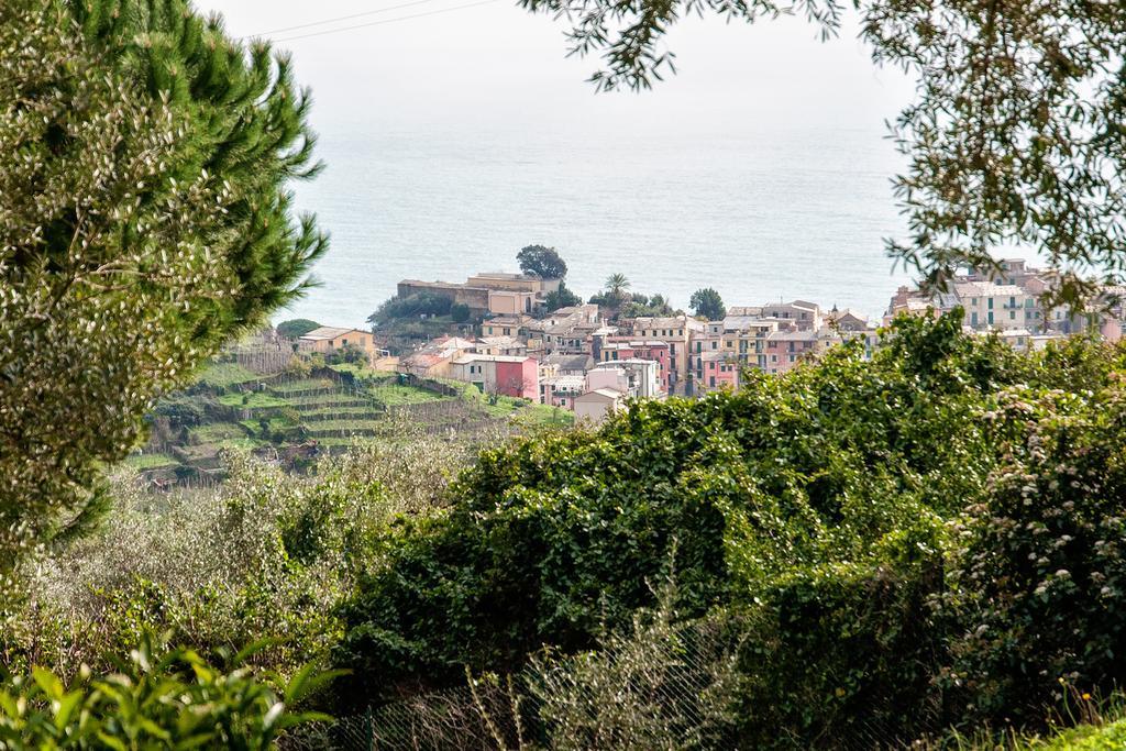 Due Pini Apartament Corniglia Zewnętrze zdjęcie